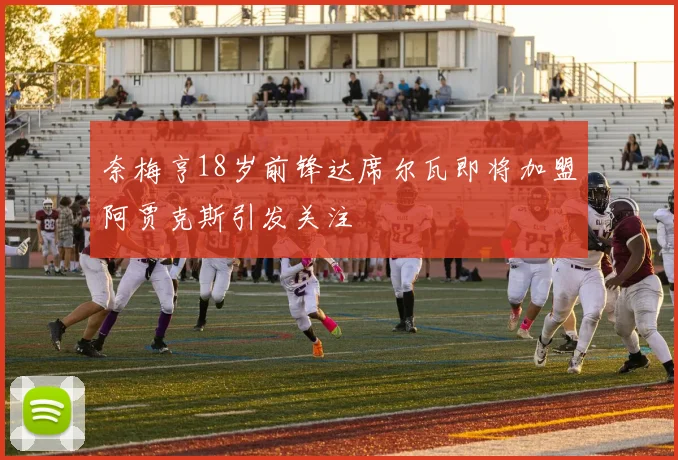 奈梅亨18岁前锋达席尔瓦即将加盟阿贾克斯引发关注