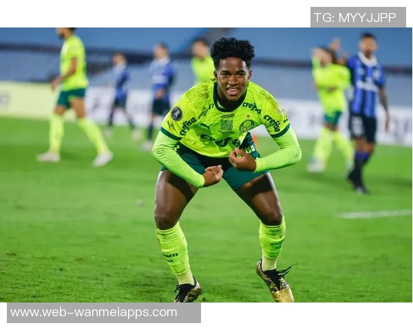 阿媒报道帕尔梅拉斯欲以2000万欧元收购阿尔马达50股份